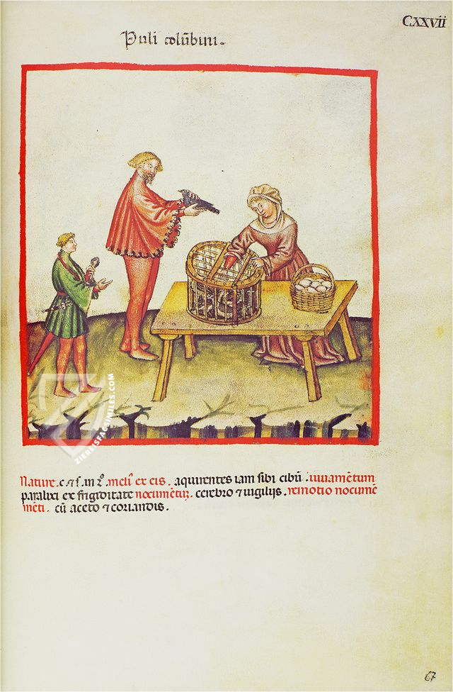 Theatrum Sanitatis – M. Moleiro Editor – Ms. 4182 – Biblioteca Casanatense (Rome, Italy)
