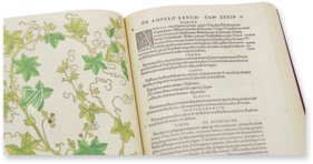 De Historia Stirpium - Leonhart Fuchs – Aboca Museum – Biblioteca Antiqua di Aboca Museum (Sansepolcro, Italy)