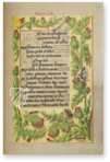 Great Hours of Anne of Brittany – Club Bibliófilo Versol – Lat. 9474 – Bibliothèque nationale de France (Paris, France)